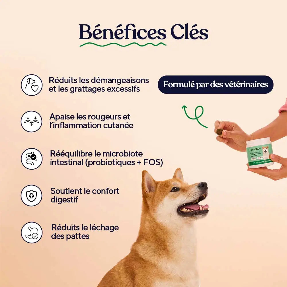 Immunité & démangeaisons