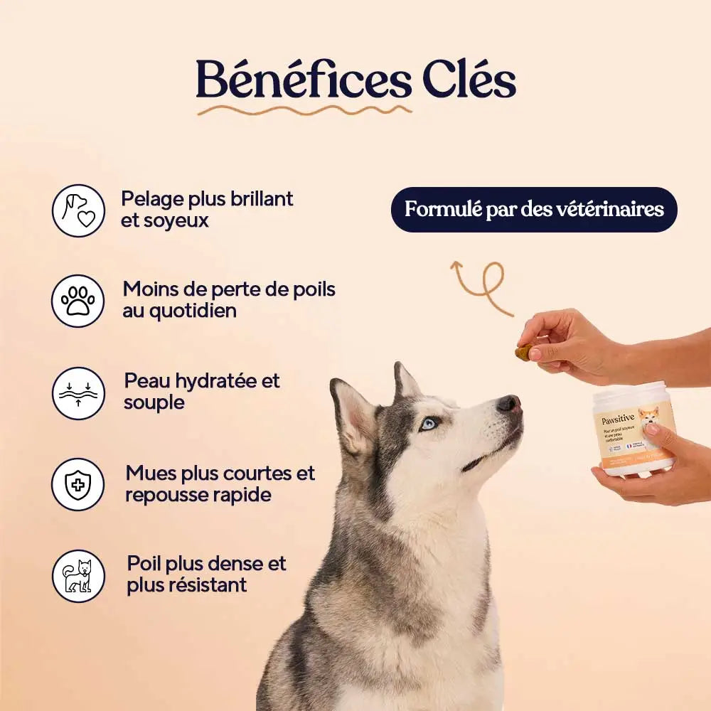 Peau & pelage